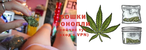 индика Протвино