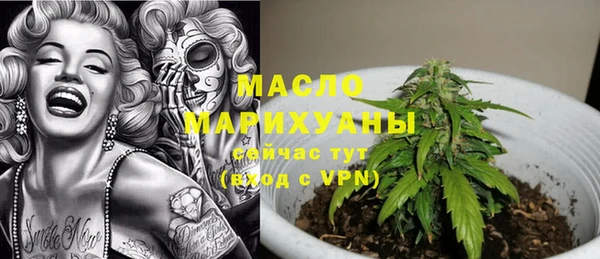 индика Протвино