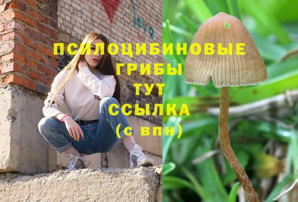 синтетический гашиш Армянск