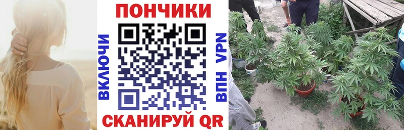 где можно купить наркотик Усолье-Сибирское Каннабис индика